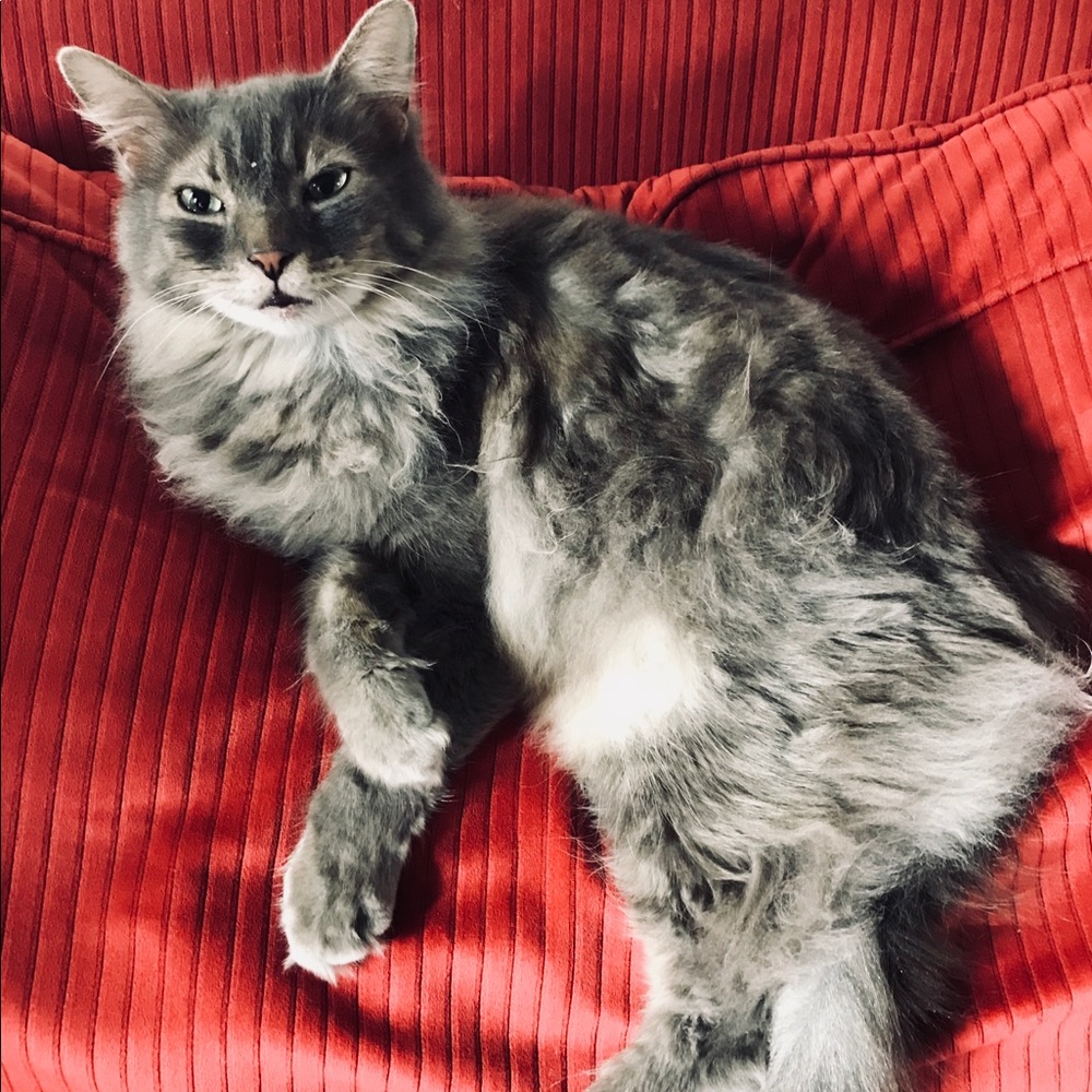 Meet your Posher, Avery